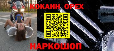 гашик Кингисепп