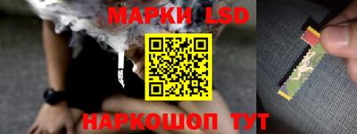 бошки Кимры