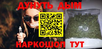 гашик Кингисепп
