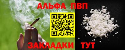 гашик Кингисепп