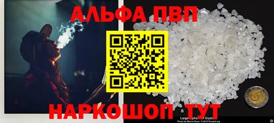 гашик Кингисепп