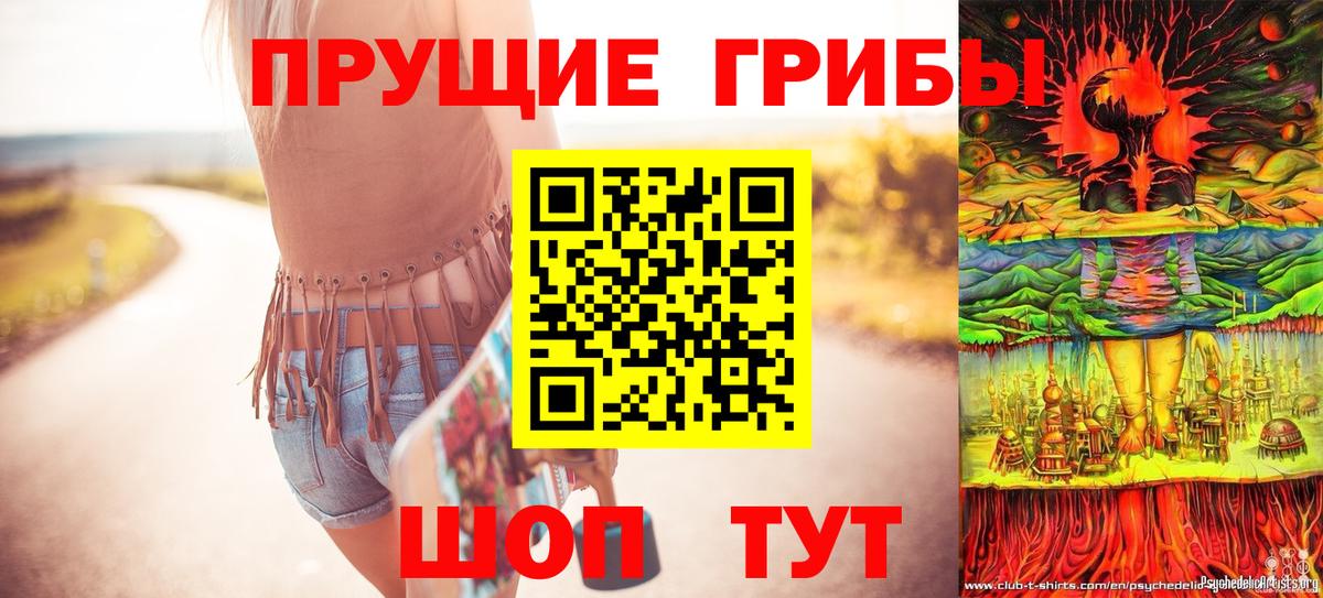 как найти закладки  Псилоцибиновые грибы GOLDEN TEACHER  Вход с VPN  Курчалой 