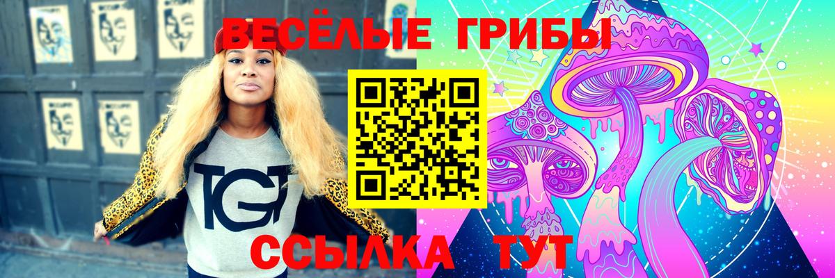 Галлюциногенные грибы Cubensis Курчалой