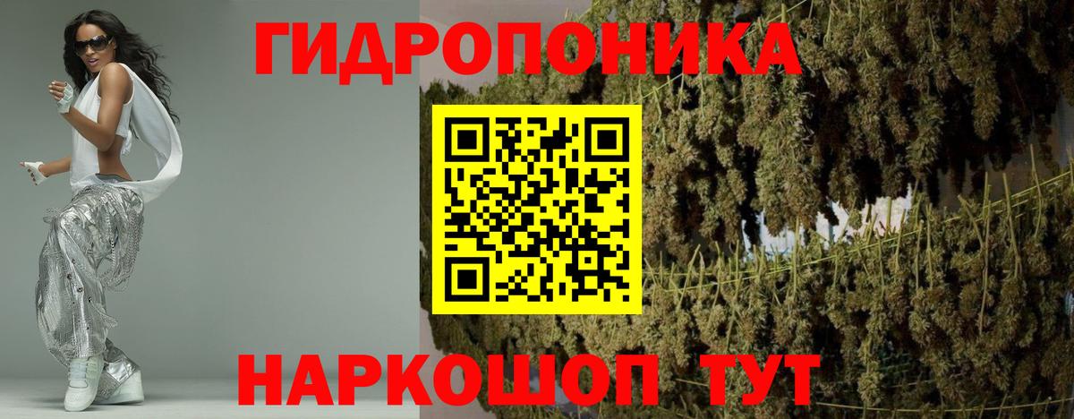 Марихуана гибрид Курчалой