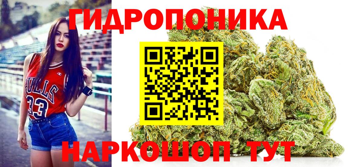 Бошки Шишки THC 21%  Каннабис семена  Курчалой  Конопля ГИДРОПОН  Каннабис VHQ  Вход с VPN 